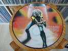 Iron Maiden - Maiden Japan / Picture Vinyl LP / Heavy Metal / von Privat