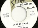 DOO WOP 45 by THE FORTUNE TELLERS HEAR CLIP