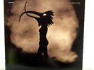 RARE DEPECHE MODE WALKING IN MY SHOES 12