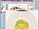CHEMICAL IMBALANCE Mag #11 & VINYL 7