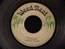 TYRONE TAYLOR - Sufferation - Orig.Ja.Weedbeat - Mint-