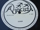 12''  ABACUSH CUSH / PHYSICALLY  12'' ASACUSH  reggae ROOTS  Listen  ?rare