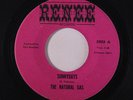 NATURAL GAS: Sunnydays /	Rube 	 45 (disc close to M-) Rock & Pop