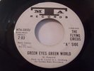The Flying Circus Green Eyes Green World wl promo garage / psych rock 45 on MTA