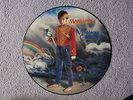 Marillion Misplaced Childhood Picture Disc