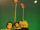 The Gun Club - Miami LP Animal Records 1981 VG Punk