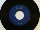 Prince & the Paupers: What More Can I Say | very rare 1966 Ohio garage **HEAR**