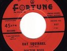 Cat Squirrel, Doctor Ross, Rare 45, R&B, Fortune VG++