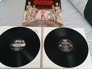 Kreator 