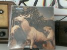 Interpol - Our Love To Admire Doppel-LP Gatefold