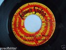 THE LOVIN' SPOONFUL Do You Believe In Magic 1965 STONE MINT UNPLAYED 45