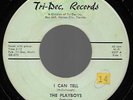 Rockabilly 45 rpm Doo Wop Playboys Tri Dec 8557 I Can Tell Silver Moon 1957 Rare
