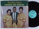TRAVELING ECHOES Looking and Seeking JEWEL LP