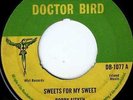 doctor bird 7