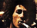 Marley Bob & The Wailers - Catch a Fire