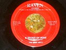 RARE NORTHERN SOUL 45 THE LOST SOUL 