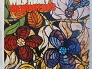 BEACH BOYS Wild Honey LP Capitol T-2859 Mono rainbow label original press EXC
