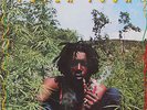 Vinyle 33T Peter Tosh 