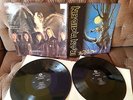 Iron Maiden / Fear of The Dark/ 2 Lps Top Zustand.