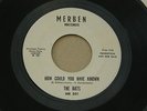 BATS HOW COULD YOU HAVE KNOWN MERBEN orig US G45 GARAGE PUNK 7