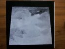 Dana Westover Memorial (to Fear) LP loner acid folk in Acid Archives and Pokora