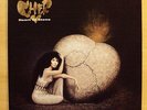 CHER - Heart of Stone - near mint - Vinyl LP - If i could turn back Time - RARE
