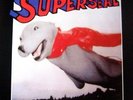 SKRATCHY SEAL Super Seal LP NEW VINYL Dj Q-Bert Dirt Style classic