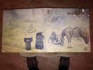 Warhorse LP Original Vertigo Swirl Label 1st Pressing Prog Rock V Rare