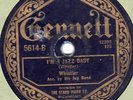 Gennett 5614 Whistler's Jug Band I'M A JAZZ BABY/Jail House Blues 1924