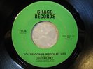 GUITAR RAY 45 You're Gonna Wreck My Life SHAGG 70's crossover soul holy grail