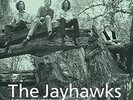 Tomorrow The Green Grass - Jayhawks (2014, Vinyl New)