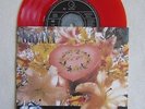 Nirvana-Heart shaped box /Marigold- 7