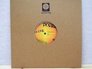 of Montreal -The Sunlandic Twins Picture Disc Test Pressing (Polyvinyl Records)