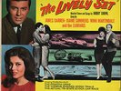 THE SURFARIS / J. SOMMERS 