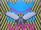 Hawkwind Live (Seventy Nine) LP 1980 Australian different title psych rock