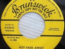 the CRICKETS Not Fade Away Oh Boy YELLOW LABEL PROMO Brunswick Rockabilly CC64