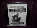 JOE STRUMMER & THE MESCALEROS Acton Town Hall LIVE 2 LP Set RSD THE CLASH