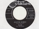 Plume,Beatles docteur Robert,french quebec garage rock group 60th listen  45