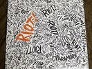 Riot [LP] by Paramore (Vinyl, Dec-2007, Fueled by Ramen Records)