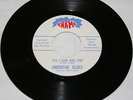 Rare Garage/American Blues/