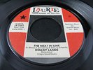 HOAGY LANDS - 