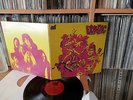 VG/VG+ Frantic -Conception LP Lizard Records Gatefold Private Psych USA Killer