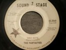 THE FANTASTICS: HIGH NOTE/THAT ONE 7