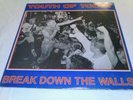 Youth of Today Break Down The Walls record first pressing original wishingwell