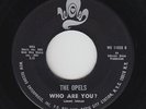 Northern/Deep Soul 45 - Opels - Who Are You? - Wow - mp3 - unknown?