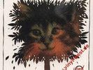 LP Ronnie Foster - Cheshire Cat BLUE NOTE BN LA425-G..RI..GEORGE BENSON..NEW