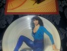 Kate bush kick inside picture disc Freepost uk only final price