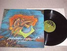 Picture Music Klaus Schultze German Import LP Green Brain 1067