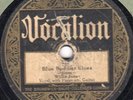 Vocalion 1194 Willie Jones (Baker?) BLUE BUDDIES BLUES 1928 - ONLY KNOWN COPY?