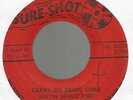JUSTIN HINDS & THE DOMINOES - CARRY GO BRING COME\ ONCE A MAN TWICE A CHILD7